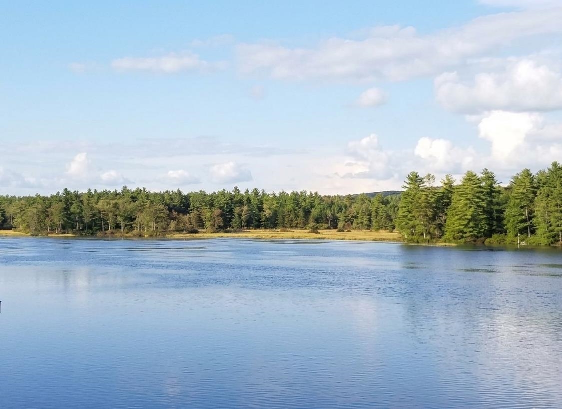 Lot 14 Northeast Pond Road Milton, NH 03851 - Photo 2 of 12