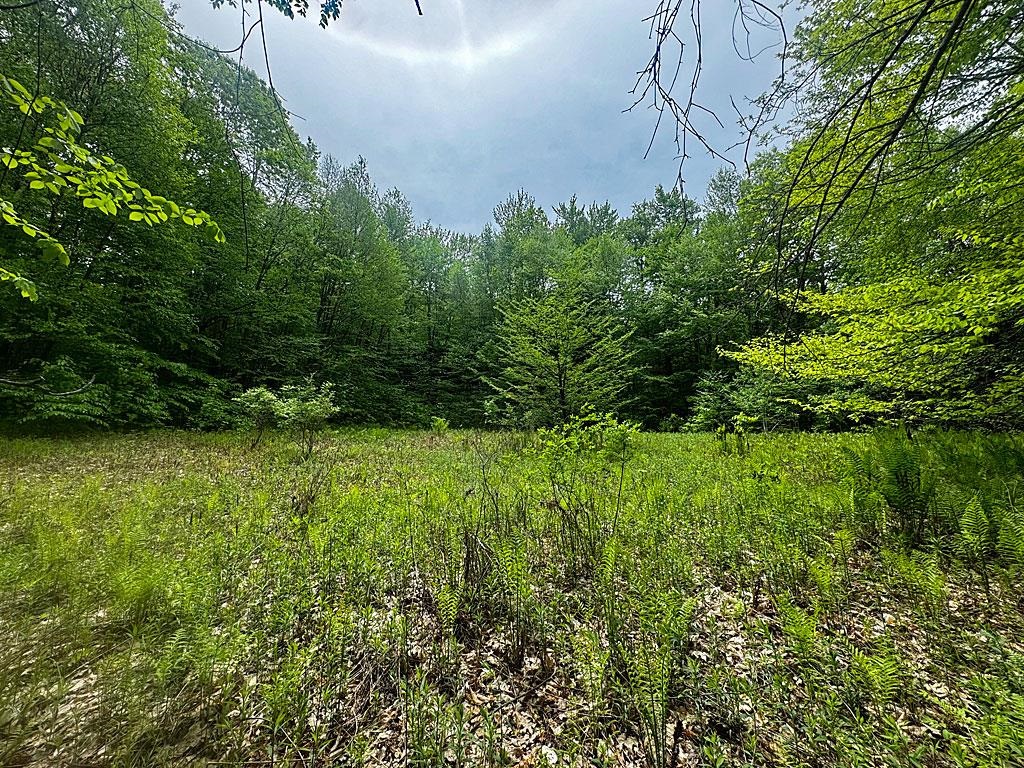 0 Spencer Meadows, Unit 5 Rutland, VT 05701 - Photo 10 of 12