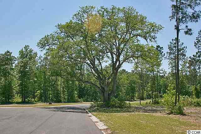 28 Huntersfield Court Georgetown, SC 29440 - Photo 15 of 18 Gallery Image 15