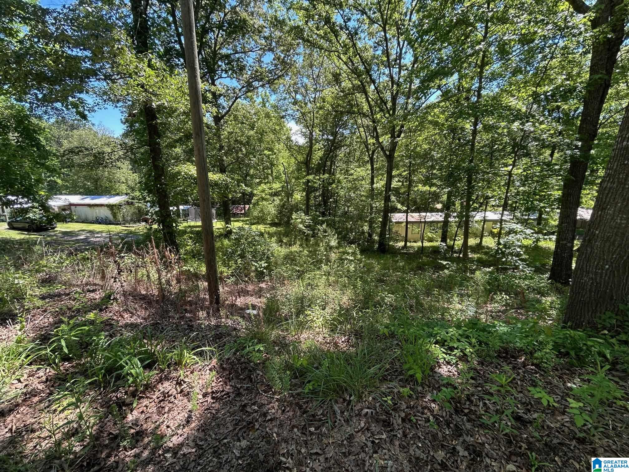 385 Cobb Road, Unit 1 Ohatchee, AL 36271 - Photo 3 of 7