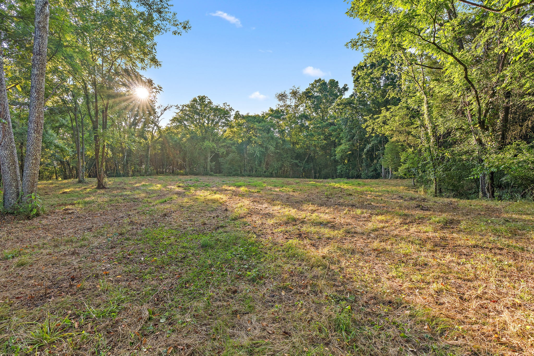 a view of outdoor space with trees all around
