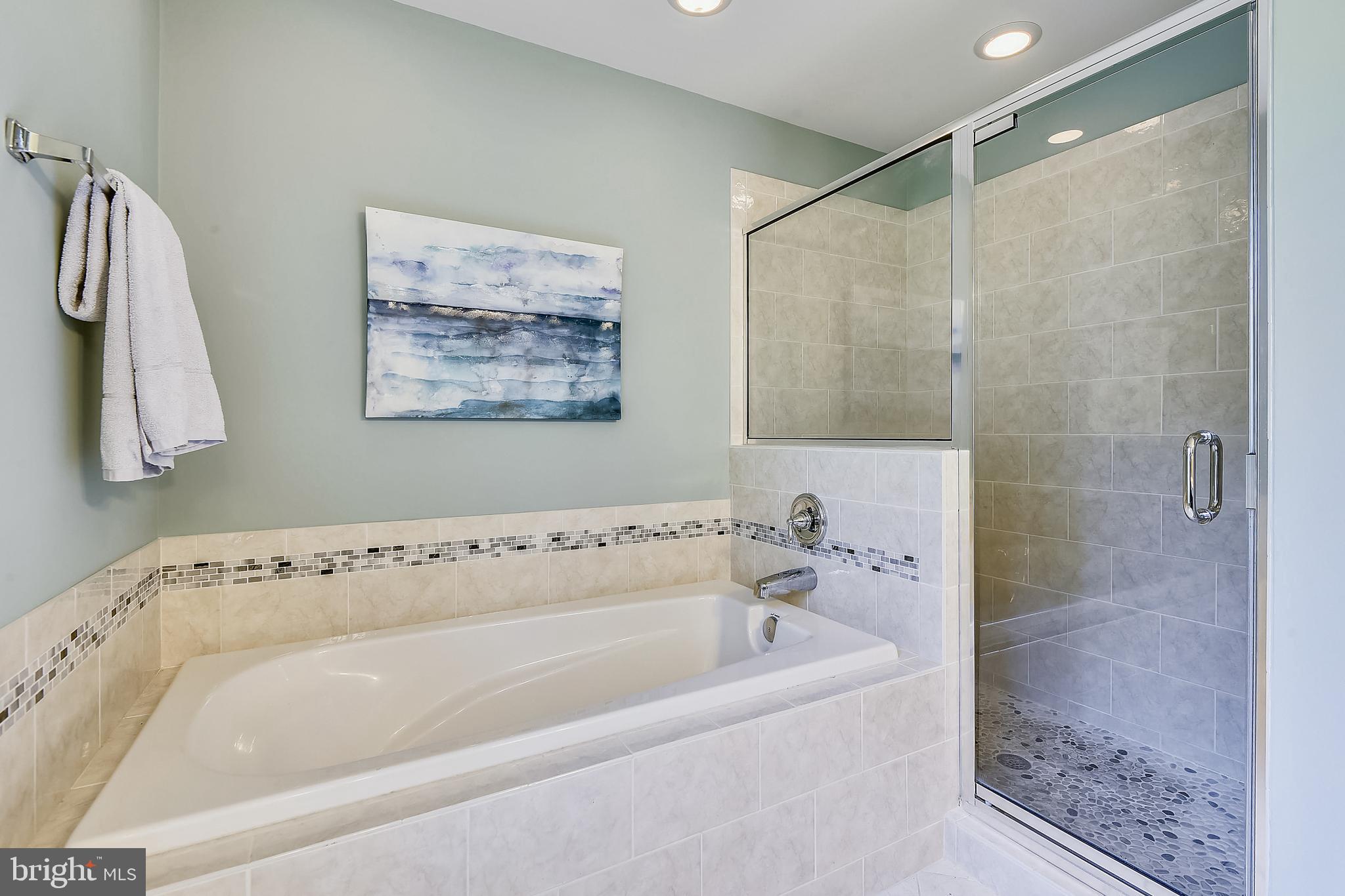 8046 Washington Road Alexandria, VA 22308 - Photo 27 of 50 Master Bathroom Tub and Shower