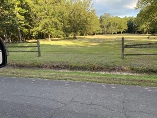 25352 Traino Road Ponchatoula, LA 70454 - Photo 11 of 15 Gallery Image 11