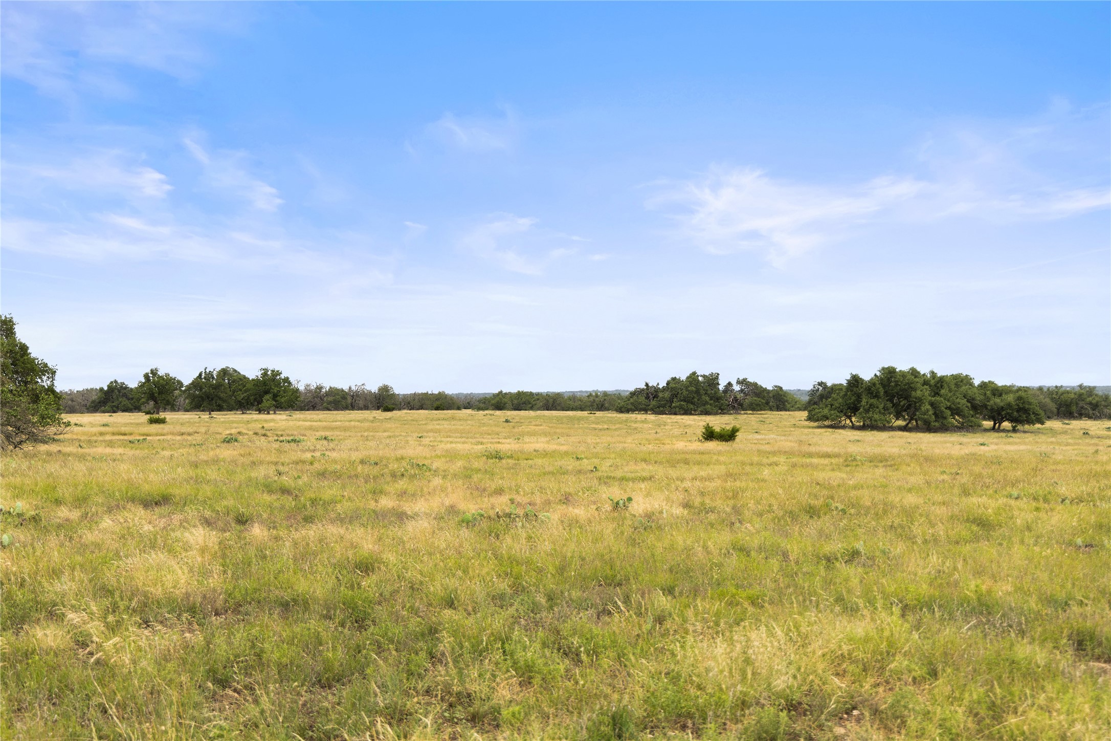 3049 Reservation Road Harper, TX 78631 - Photo 39 of 40 a view of an ocean from a city