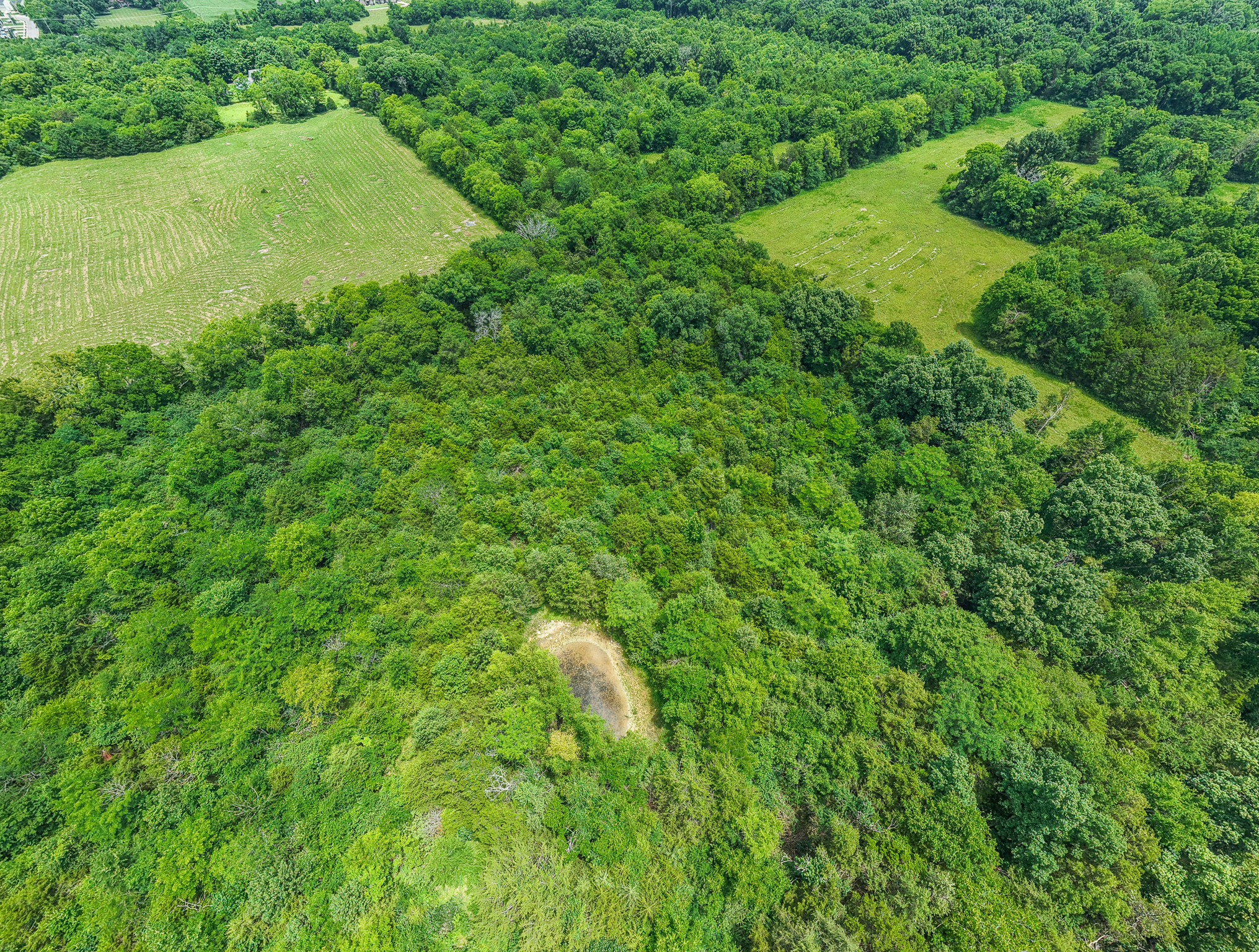 873 Walnut Grove Road Christiana, TN 37037 - Photo 7 of 29 a view of a big yard with large trees