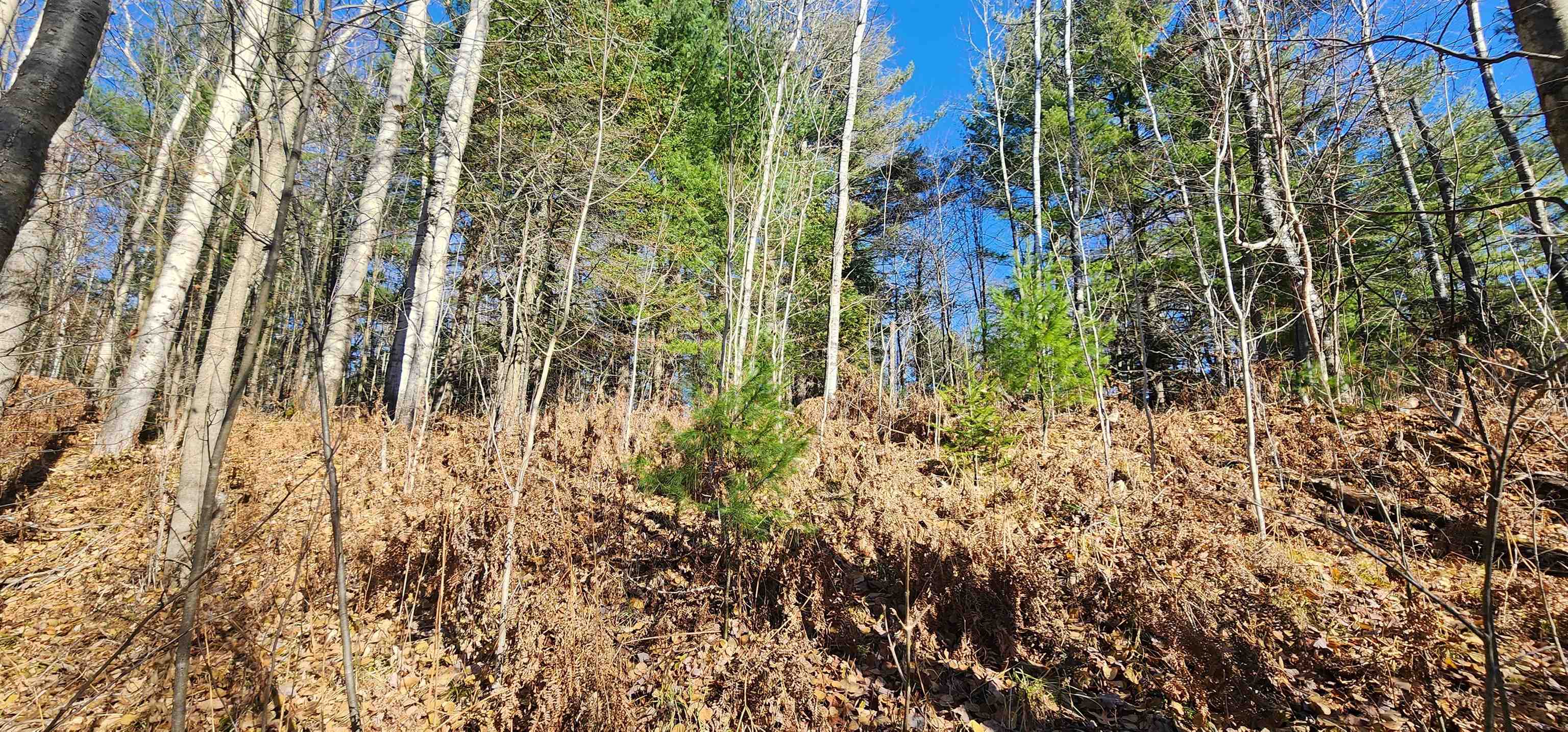 0 West Rainbow Road McBain, MI 49657 - Photo 8 of 13