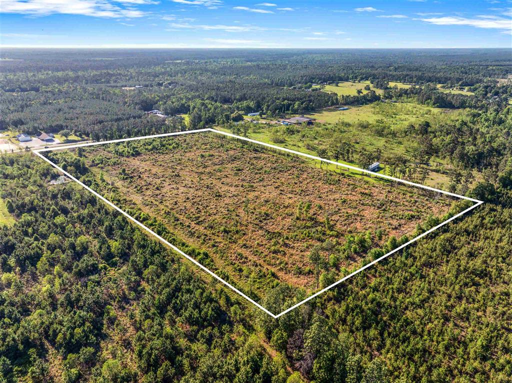 Tbd Pilgrim Rest Road Dequincy, LA 70633 - Photo 4 of 8