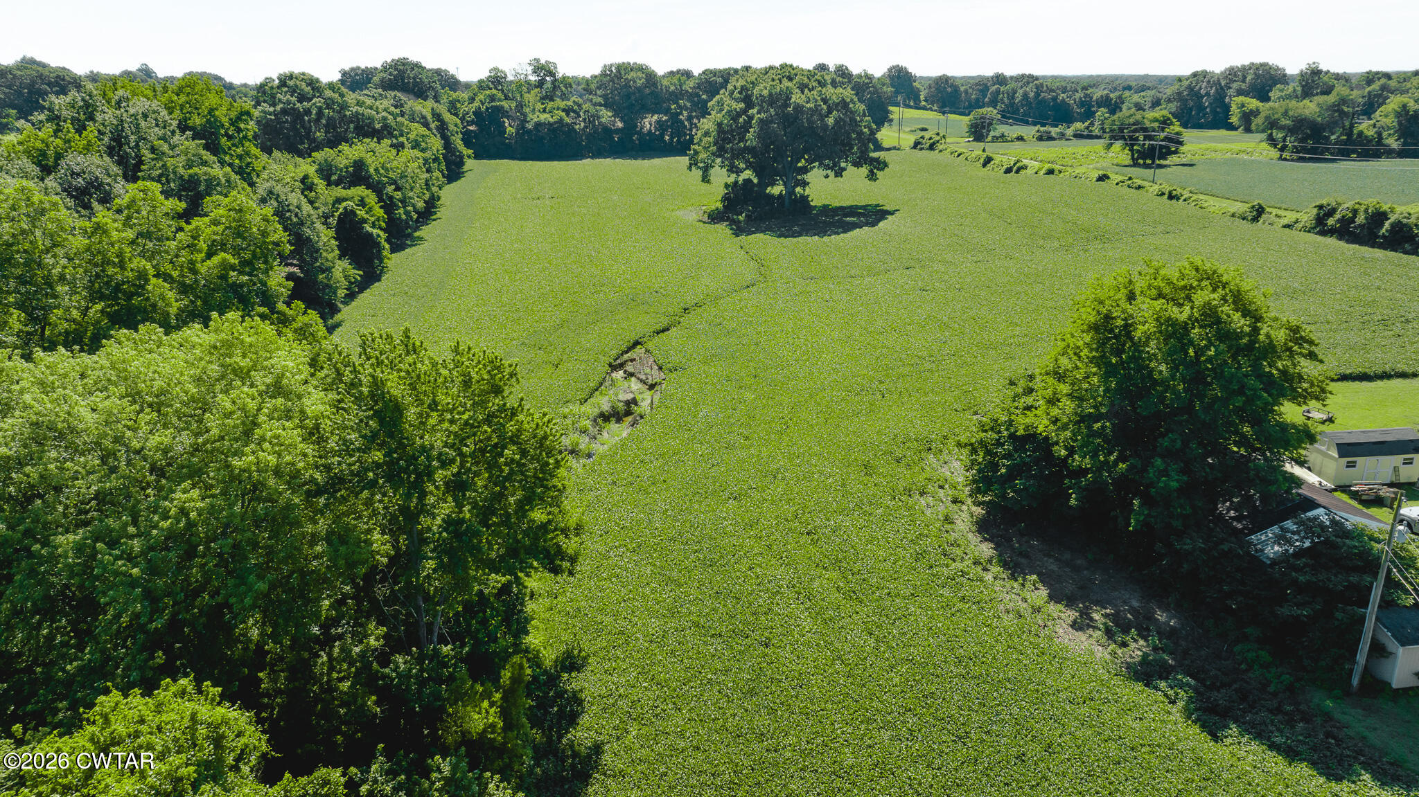 0 Oakshire Road Union City, TN 38261 - Photo 16 of 19 DJI_20260614170319_0014_D