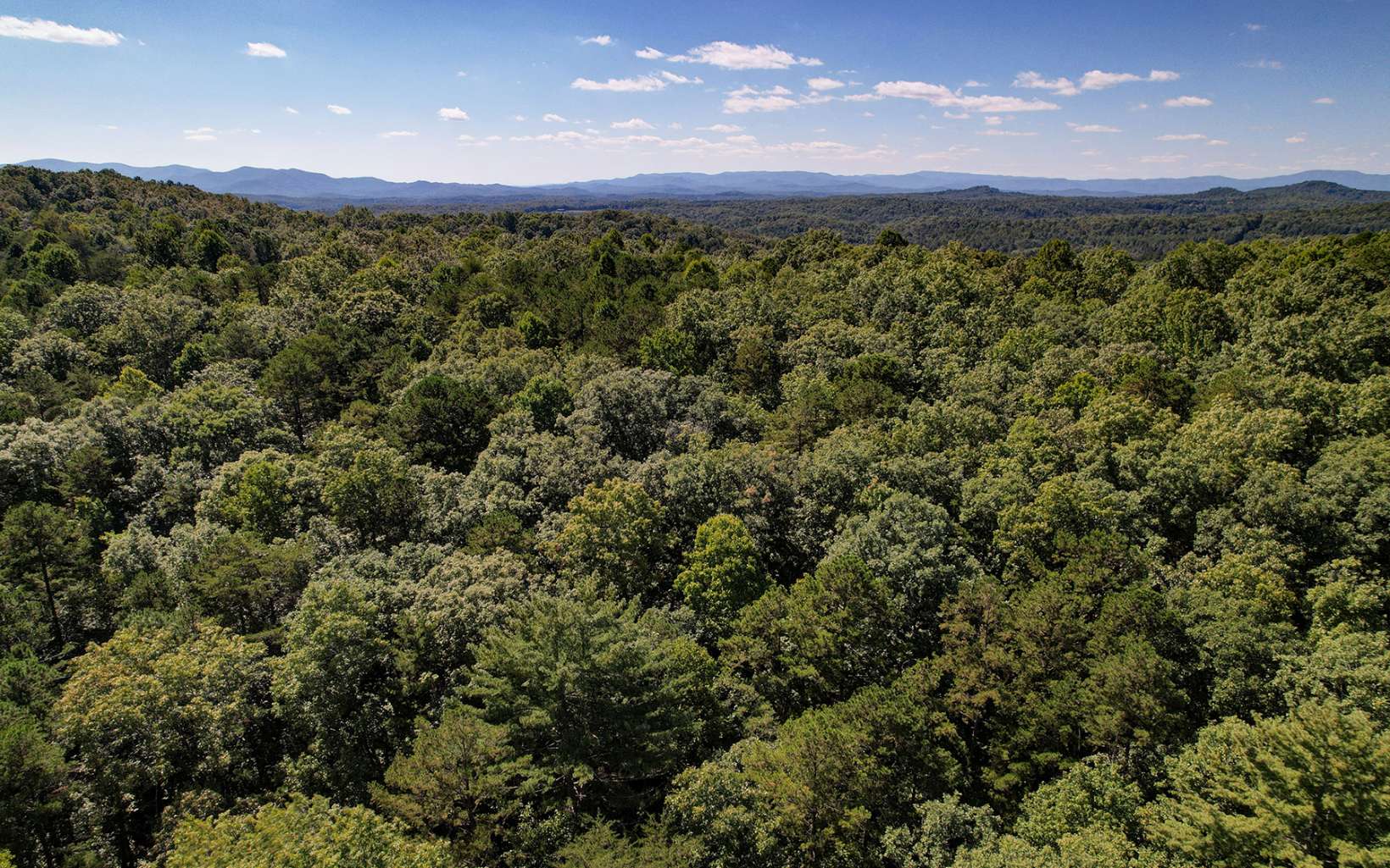 Toccoa Farm Road Morganton, GA 30560 - Photo 13 of 17 Additional View