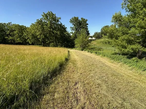 a view of a yard