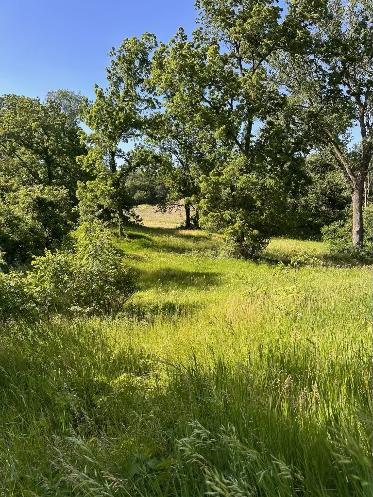 8462 Albany Road Erie, IL 61250 - Photo 7 of 9