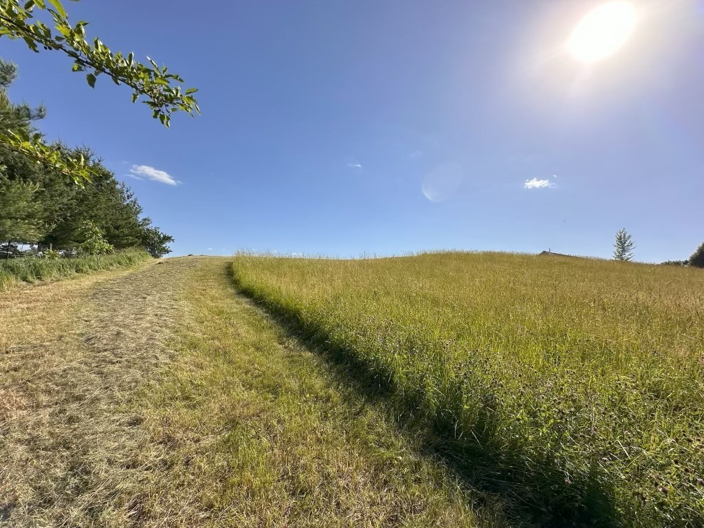 8462 Albany Road Erie, IL 61250 - Photo 8 of 9 a view of an ocean