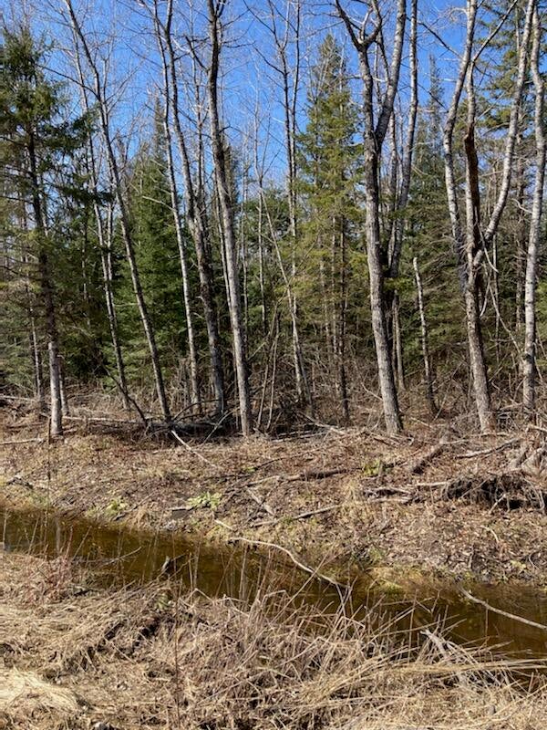 0 Everleigh Road Pickford, MI 49774 - Photo 21 of 25 Gallery Image 21