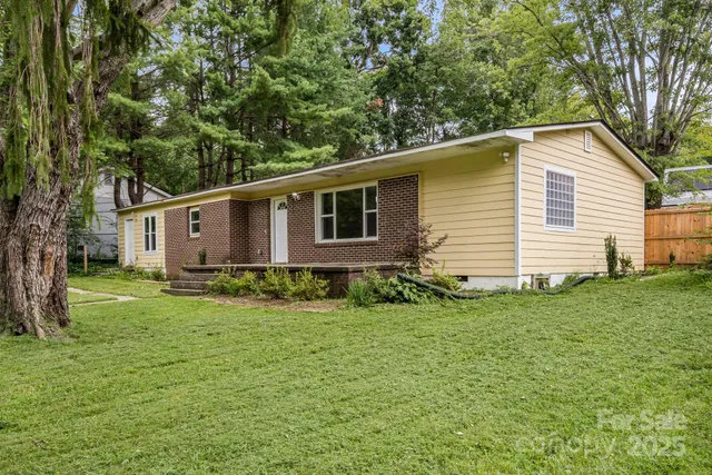 a view of a backyard with plants and large tree