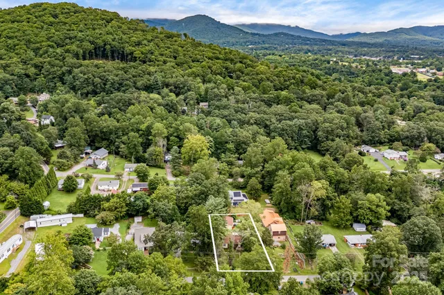 a view of a lush green forest with houses