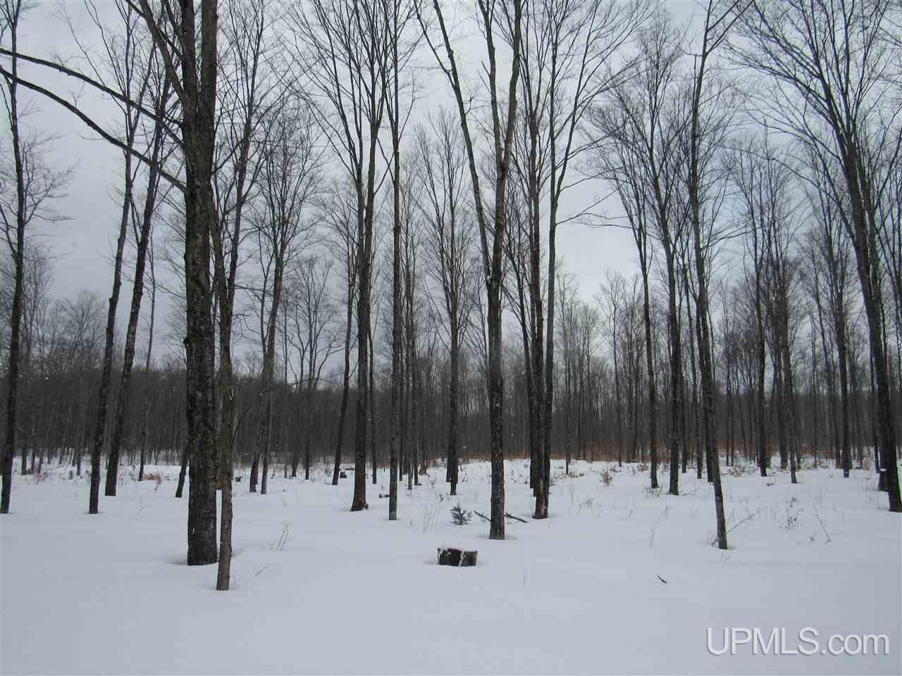 11998 Roy Wright Road Shingleton, MI 49884 - Photo 29 of 36