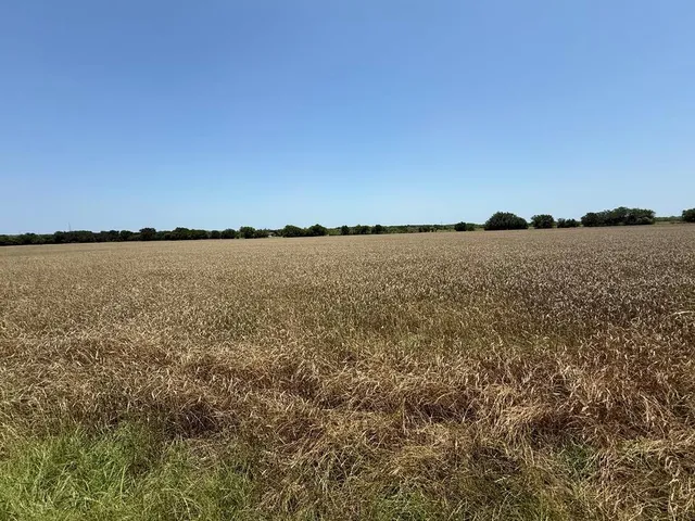 a view of an ocean beach and mountain