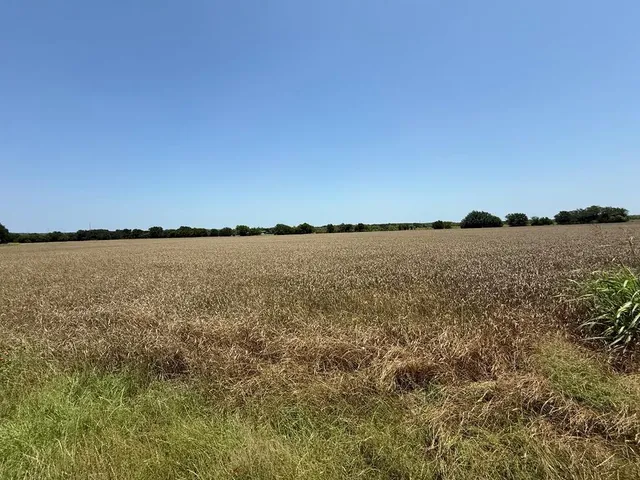 a view of a lake and mountain in the back