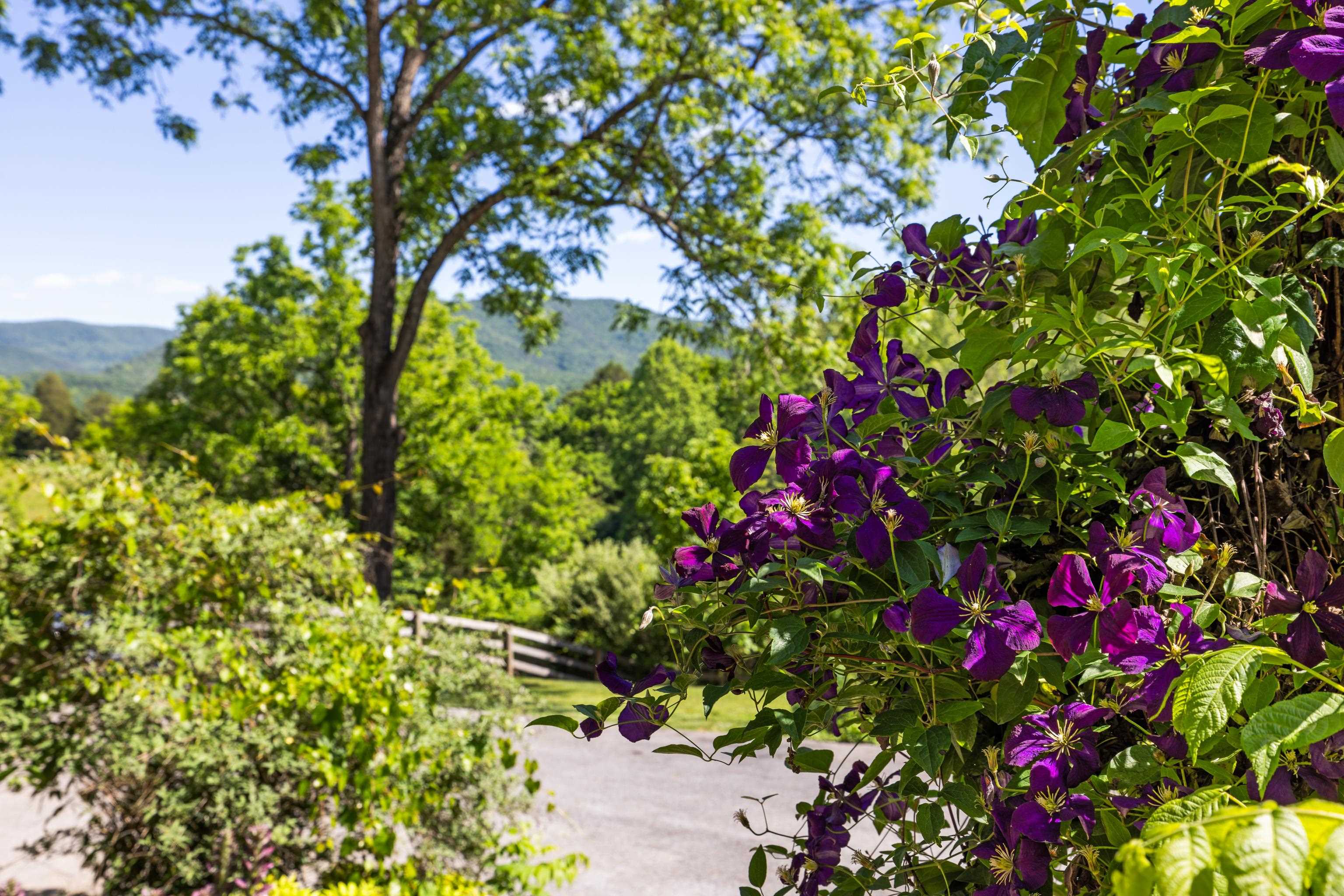 560 Agners Mill Road Lexington, VA 24450 - Photo 9 of 74