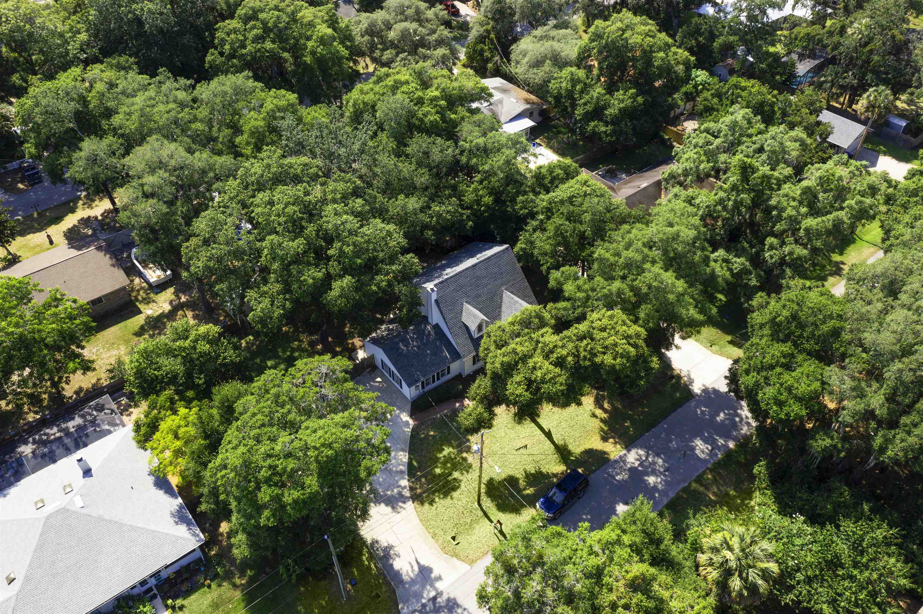 246 Mimosa Road St. Augustine, FL 32086 - Photo 8 of 45 an aerial view of a house with a yard and covered with palm trees