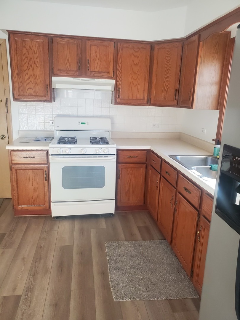 508 Ida Court, Unit 2 Mount Prospect, IL 60056 - Photo 3 of 13 a kitchen with a sink stove and cabinets