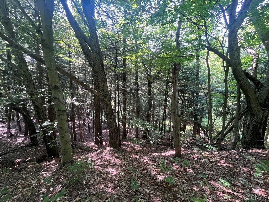 Center Road Lacona, NY 13083 - Photo 21 of 38