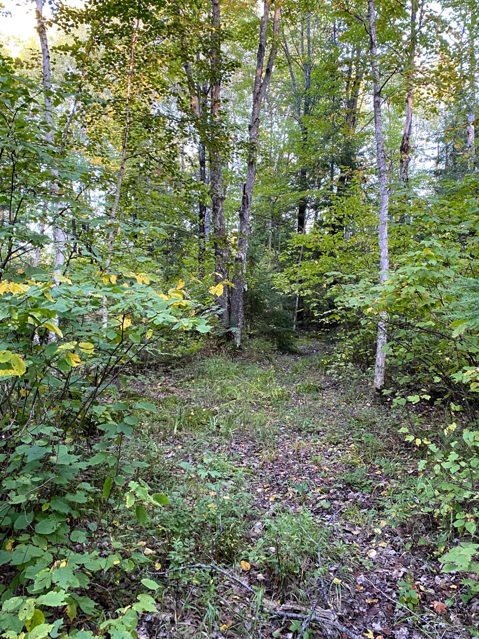 3982 Rasmusson Road Rhinelander, WI 54501 - Photo 21 of 25 Gallery Image 21