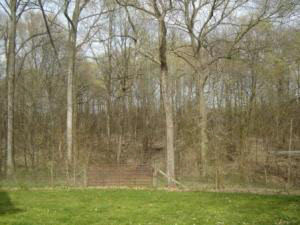 1748 Hollace Chastain Road Mitchell, IN 47446 - Photo 4 of 15 Gallery Image 4