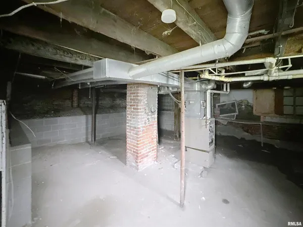 a view of a backyard with plants and large trees