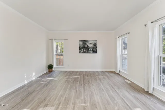 a picture of a white and white photo