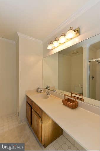 4606 4th Road North Arlington, VA 22203 - Photo 15 of 30 Bath (Master)
