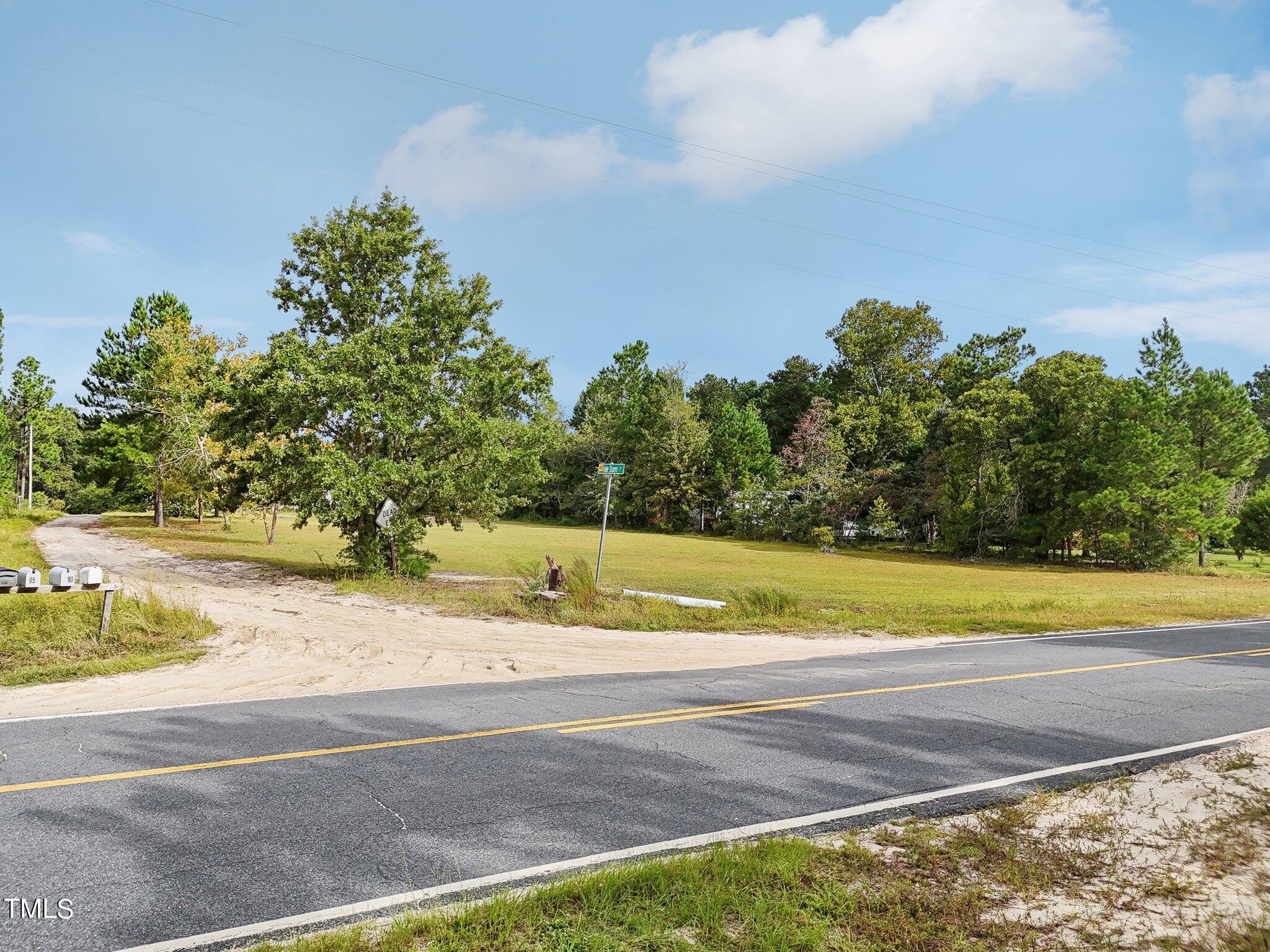 a view of a yard with large trees