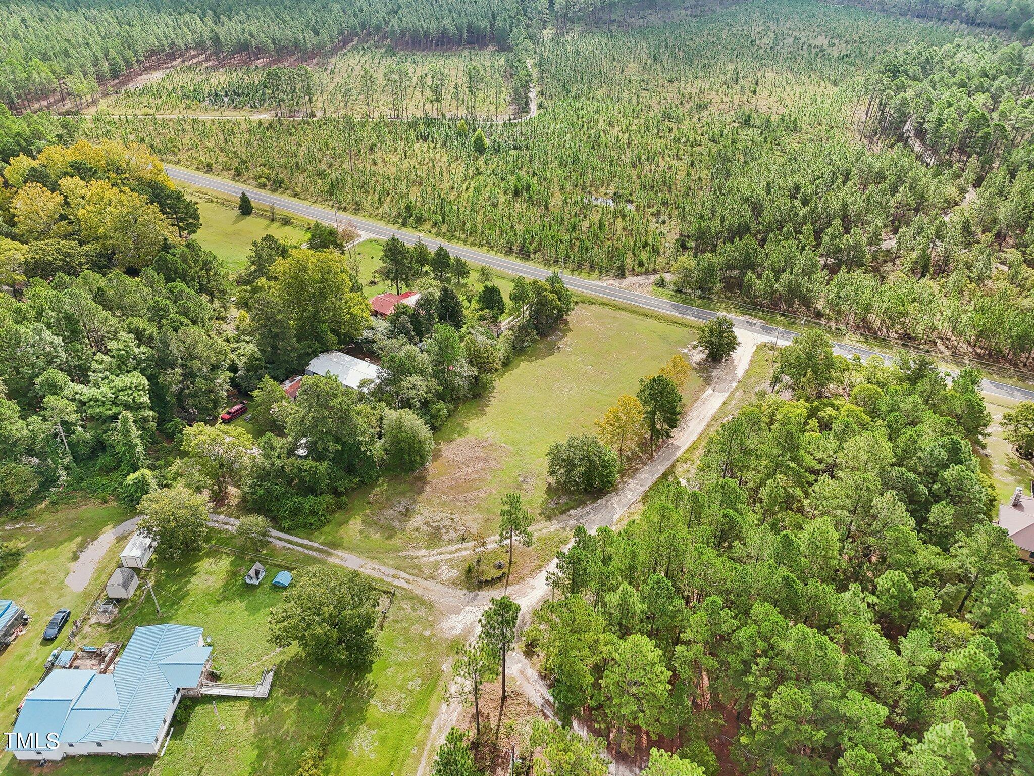 60 Hale Storm Lane Cameron, NC 28326 - Photo 18 of 24 a view of a yard with plants