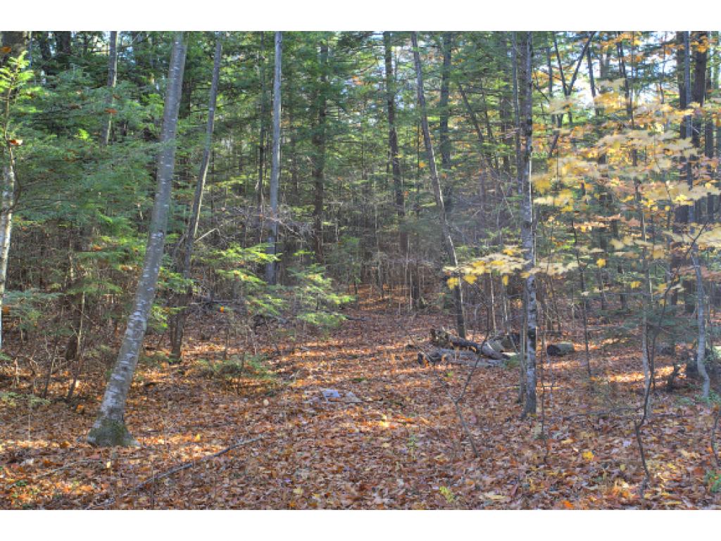 15 Birch Hill Road Temple, NH 03084 - Photo 32 of 36