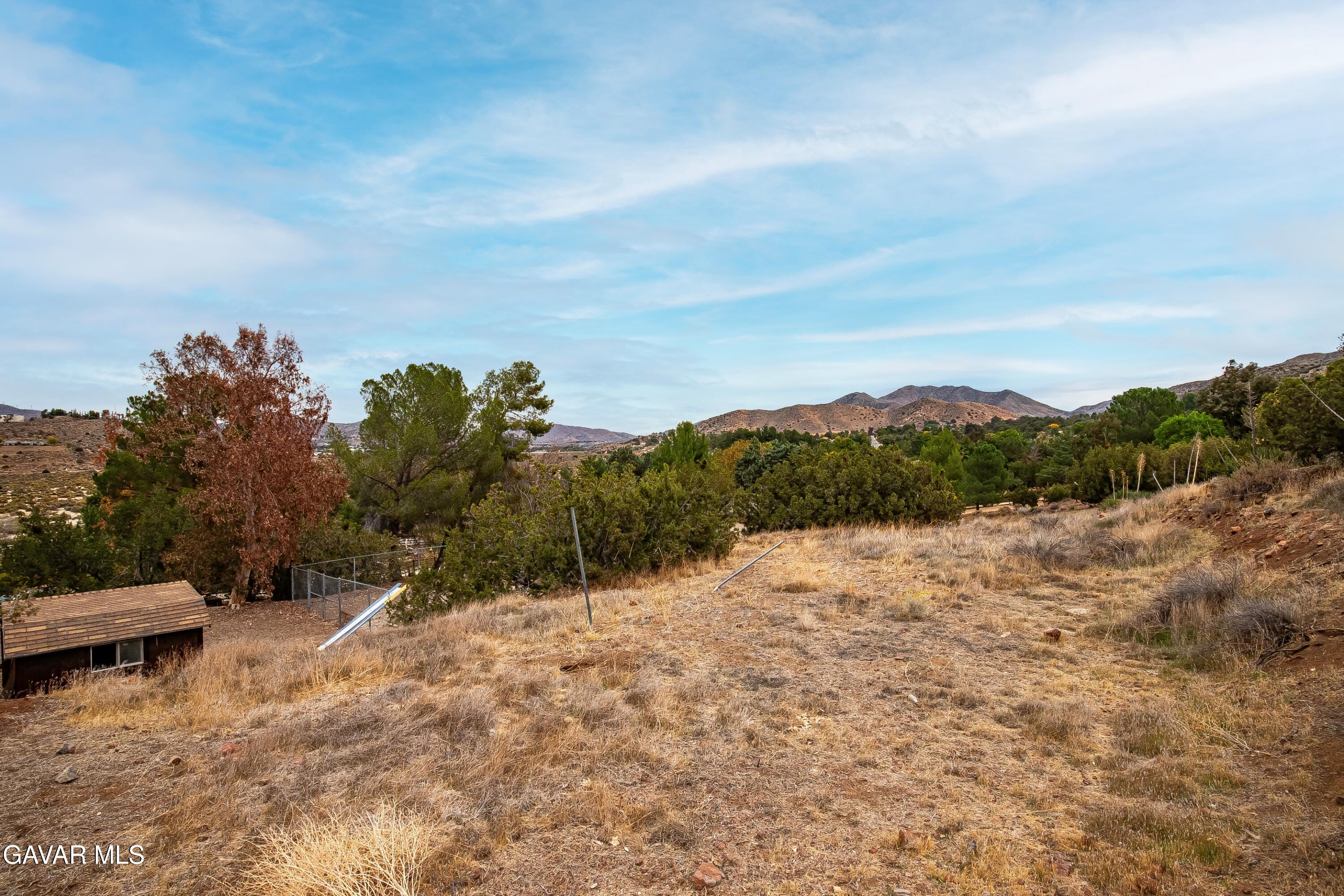 31741 Lake Meadow Road Acton, CA 93510 - Photo 33 of 59 IMG_2358_MLS