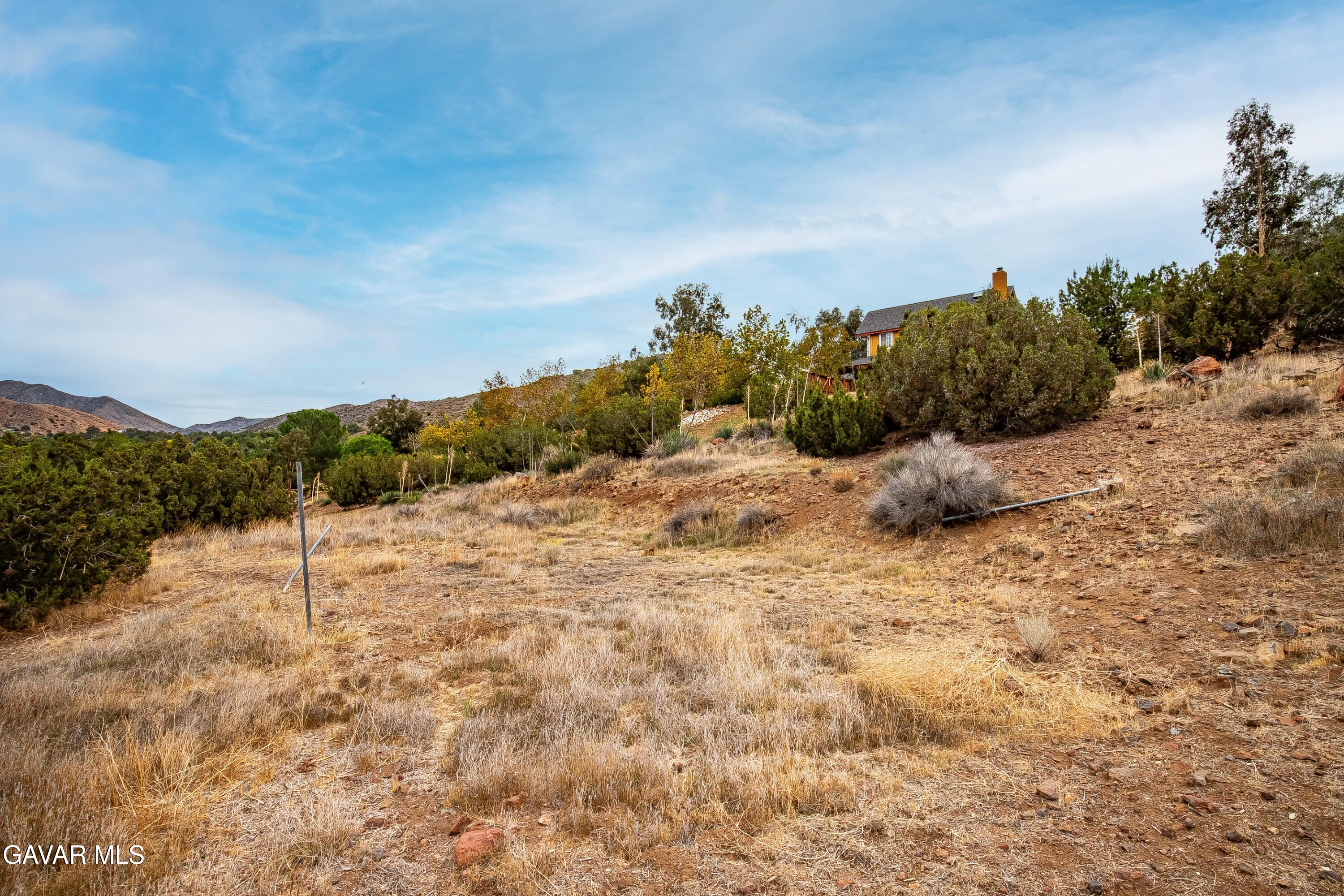 31741 Lake Meadow Road Acton, CA 93510 - Photo 34 of 59 IMG_2359_MLS