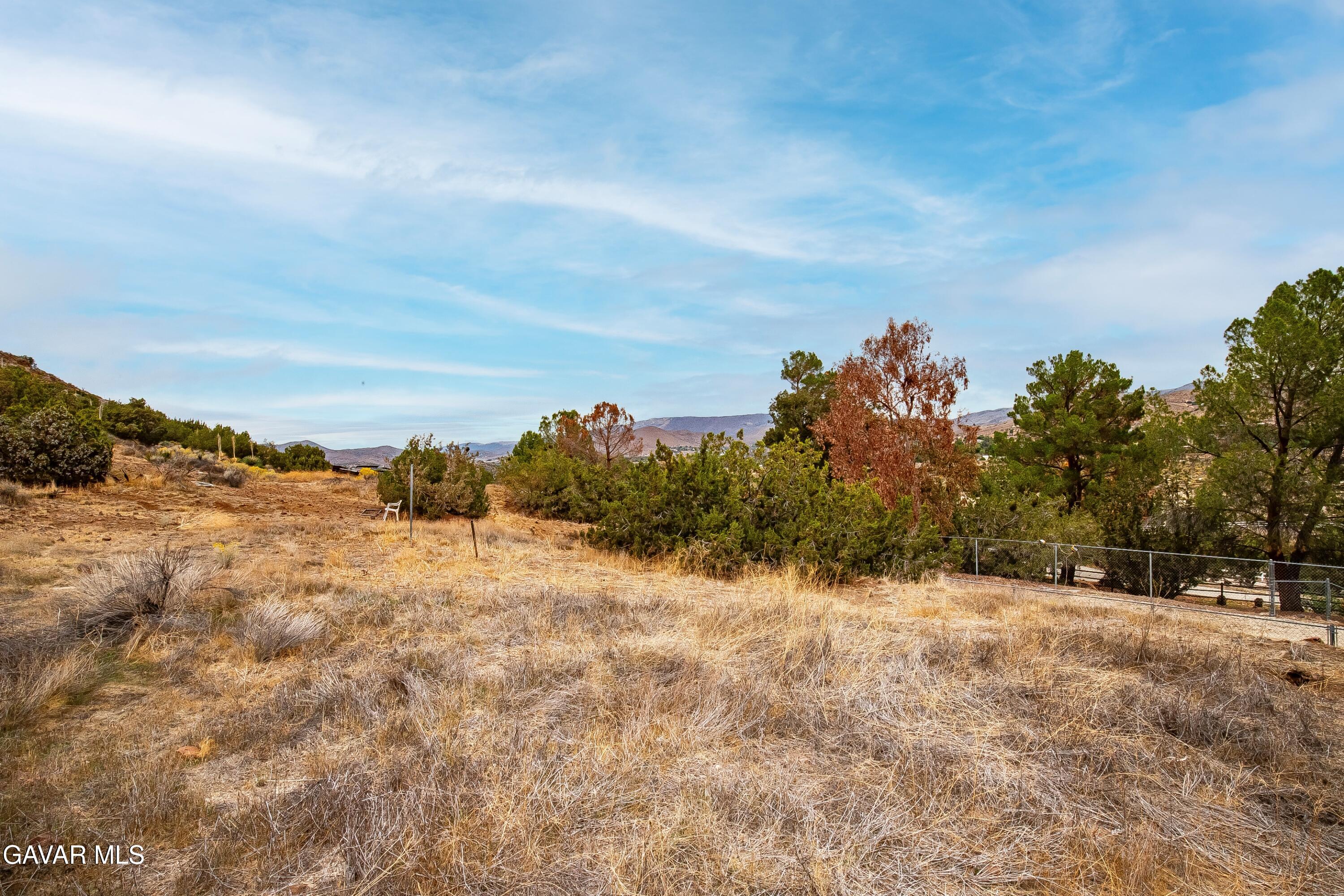 31741 Lake Meadow Road Acton, CA 93510 - Photo 35 of 59 IMG_2360_MLS