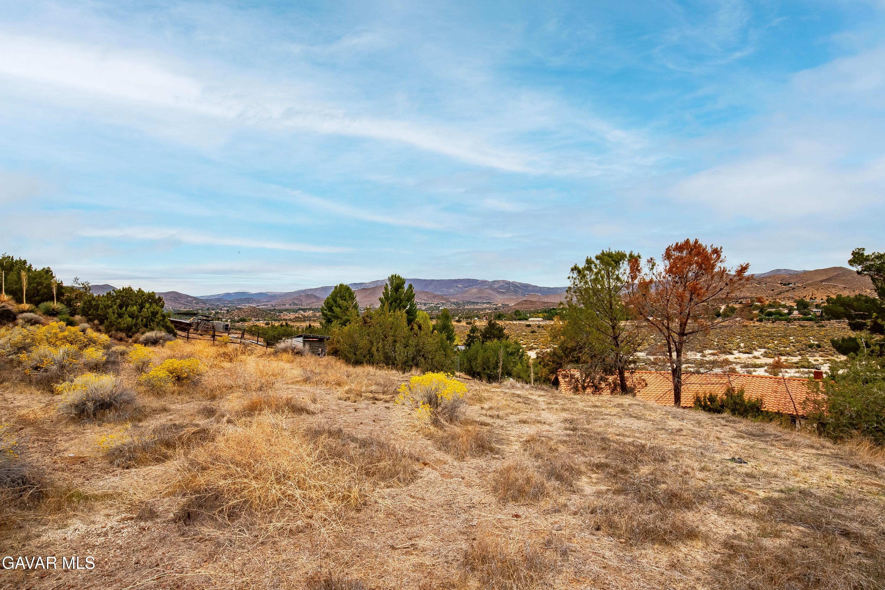 31741 Lake Meadow Road Acton, CA 93510 - Photo 36 of 59 IMG_2361_MLS