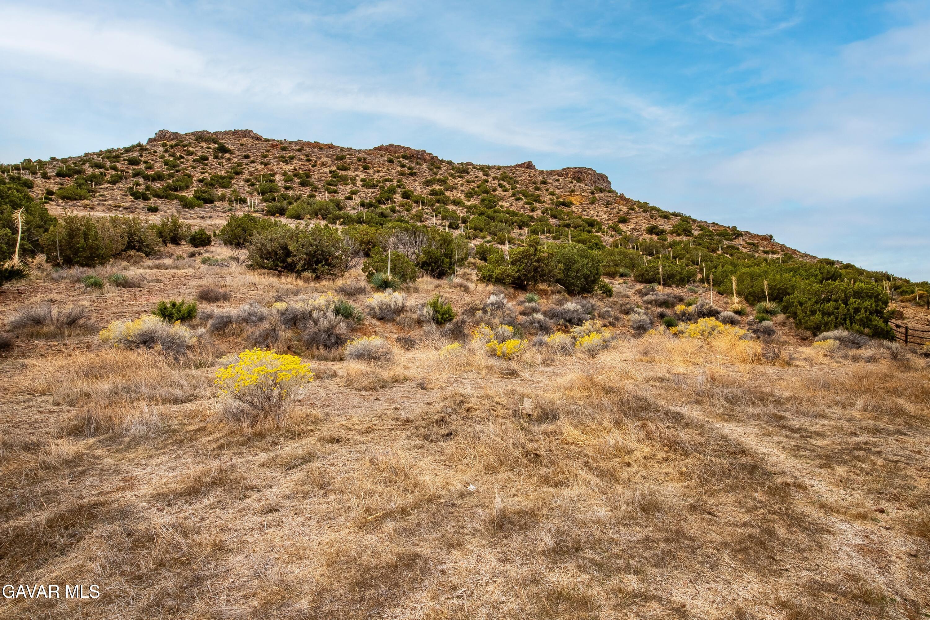 31741 Lake Meadow Road Acton, CA 93510 - Photo 37 of 59 a view of a large tree with plants and covered in the background