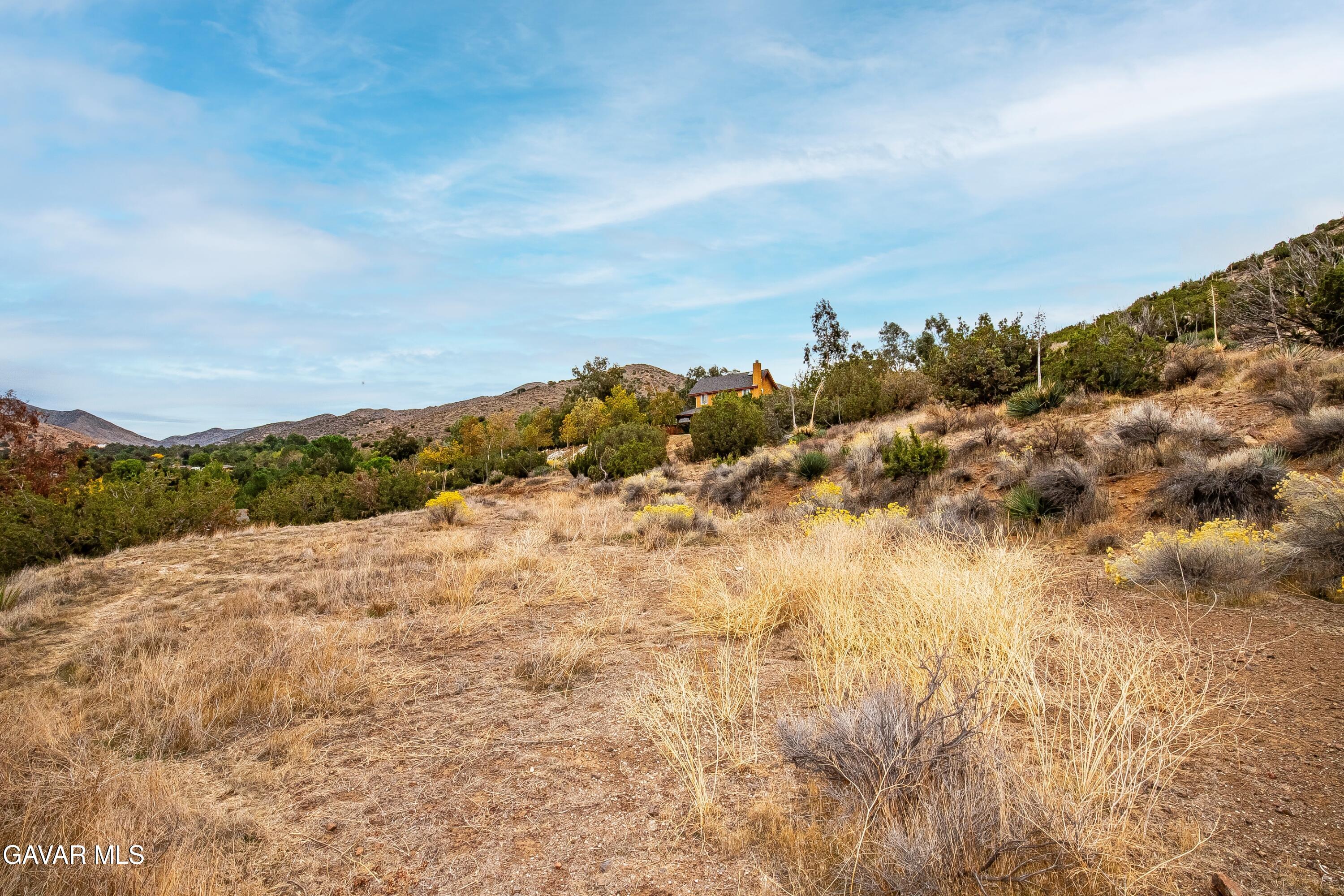 31741 Lake Meadow Road Acton, CA 93510 - Photo 38 of 59 IMG_2363_MLS