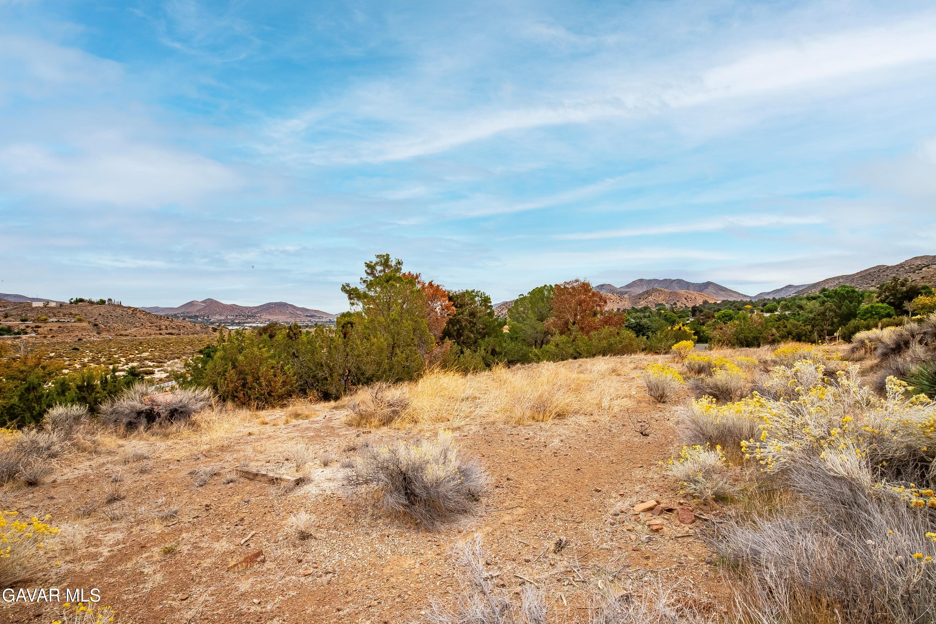 31741 Lake Meadow Road Acton, CA 93510 - Photo 39 of 59 IMG_2364_MLS