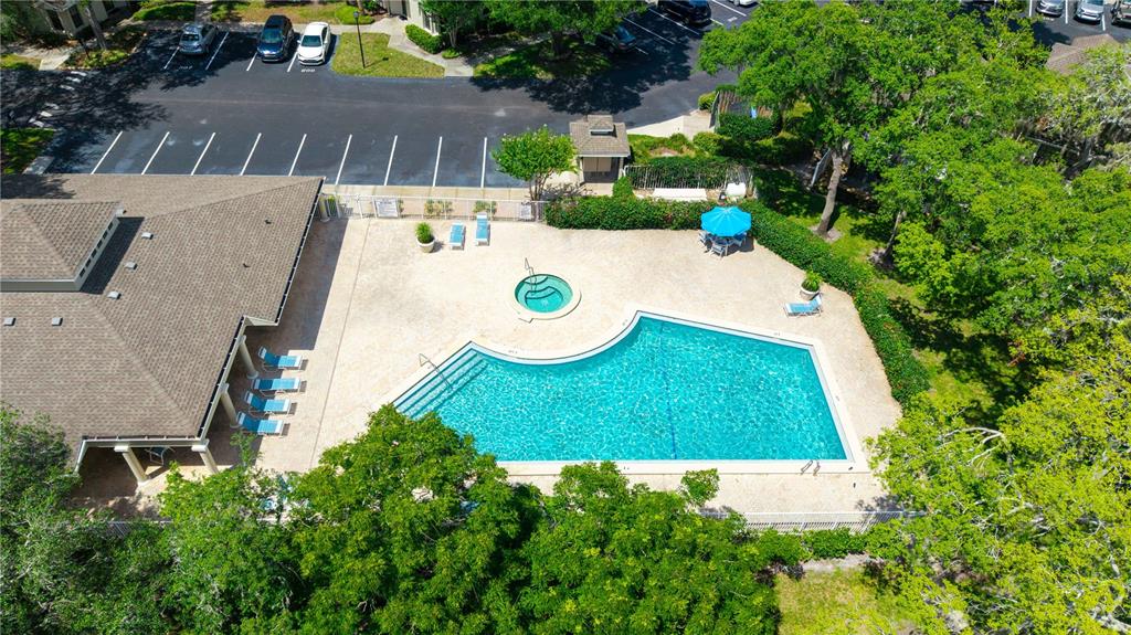 5100 Burchette Road, Unit 404 Tampa, FL 33647 - Photo 35 of 41