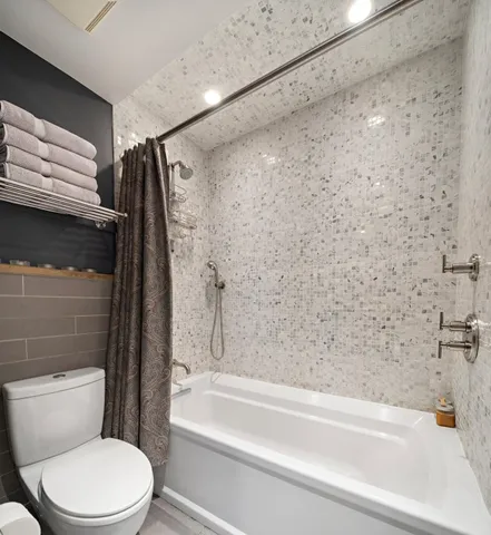 a bathroom with a toilet and a bathtub