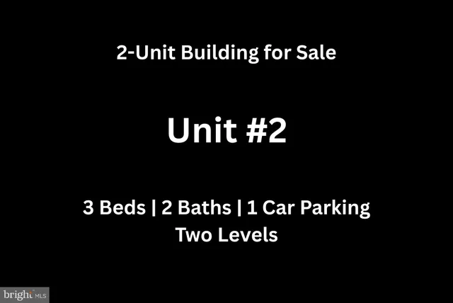 a black and white photo of a park