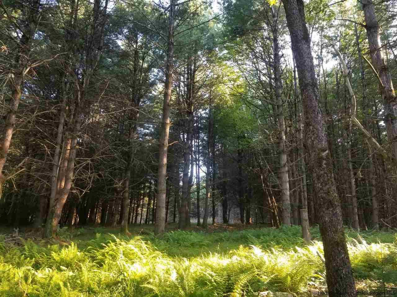 Tbd Irish Cape Road Ellenville, NY 12428 - Photo 11 of 29 Photo 11
