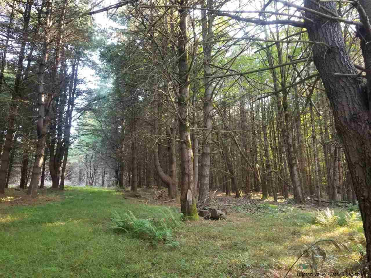 Tbd Irish Cape Road Ellenville, NY 12428 - Photo 12 of 29 Photo 12