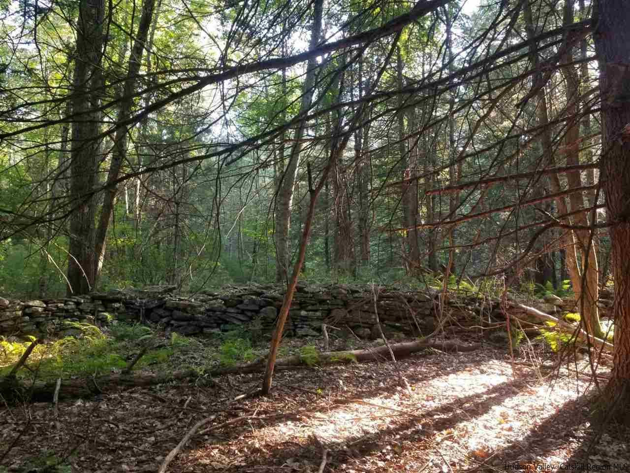 Tbd Irish Cape Road Ellenville, NY 12428 - Photo 13 of 29 Photo 13