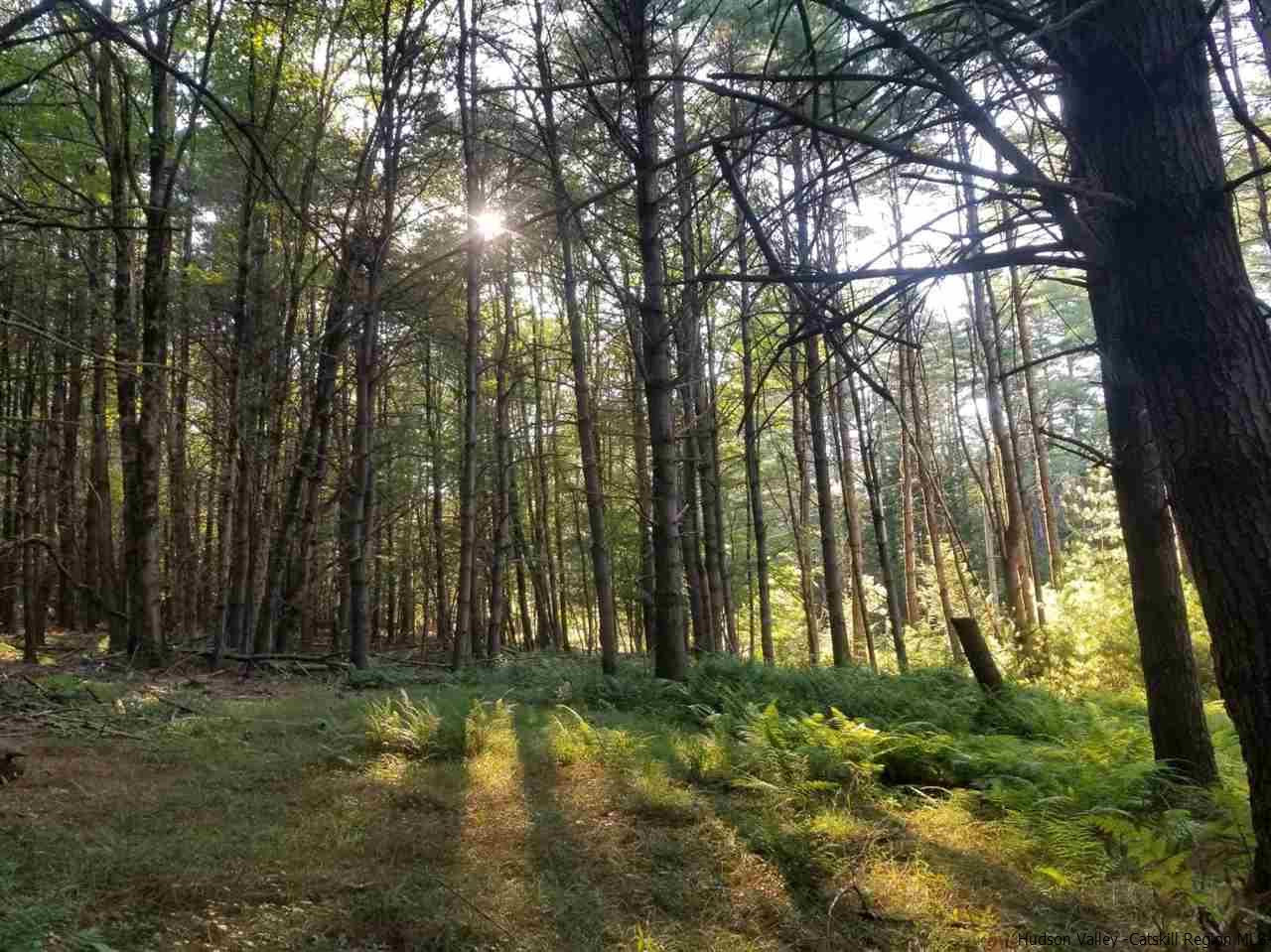 Tbd Irish Cape Road Ellenville, NY 12428 - Photo 14 of 29 Photo 14