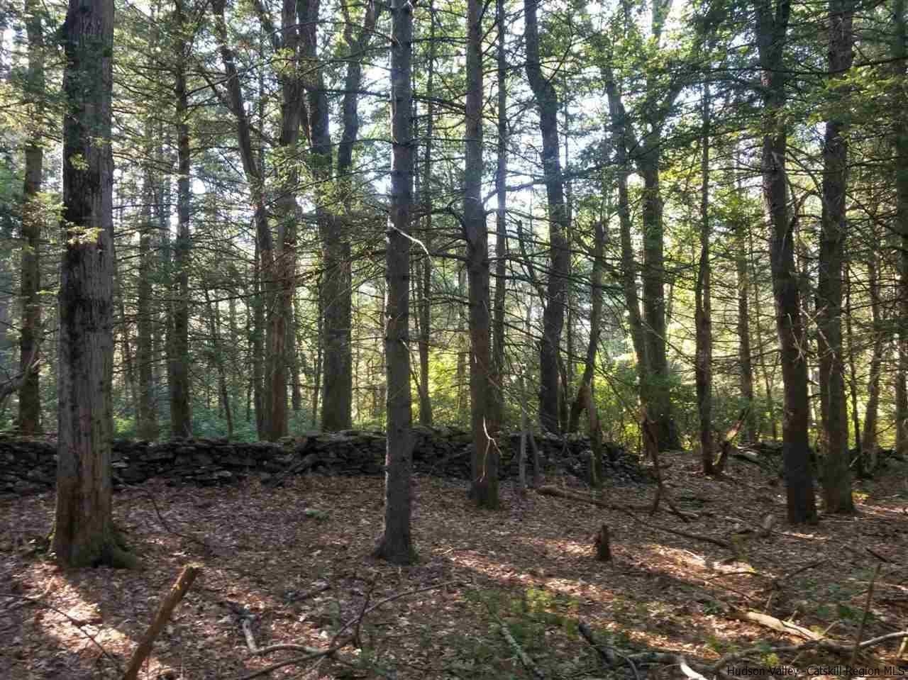 Tbd Irish Cape Road Ellenville, NY 12428 - Photo 15 of 29 Photo 15