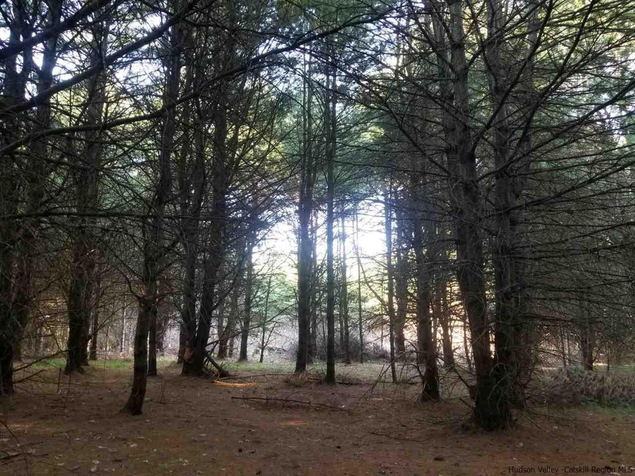 Tbd Irish Cape Road Ellenville, NY 12428 - Photo 16 of 29 Photo 16